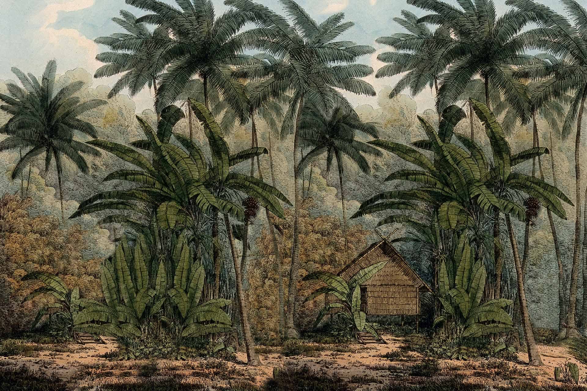 Robinson Crusoe