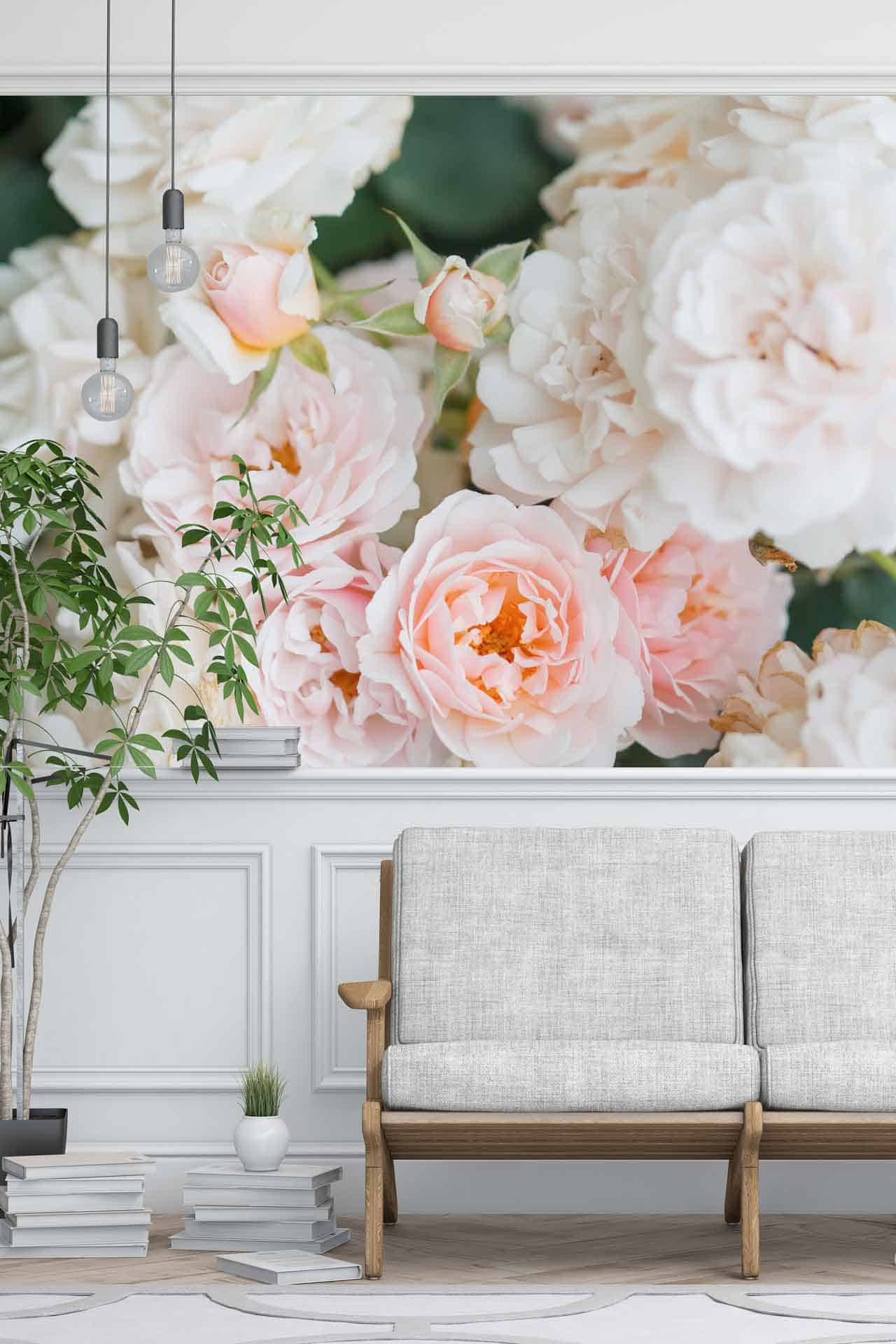 Rose Garden