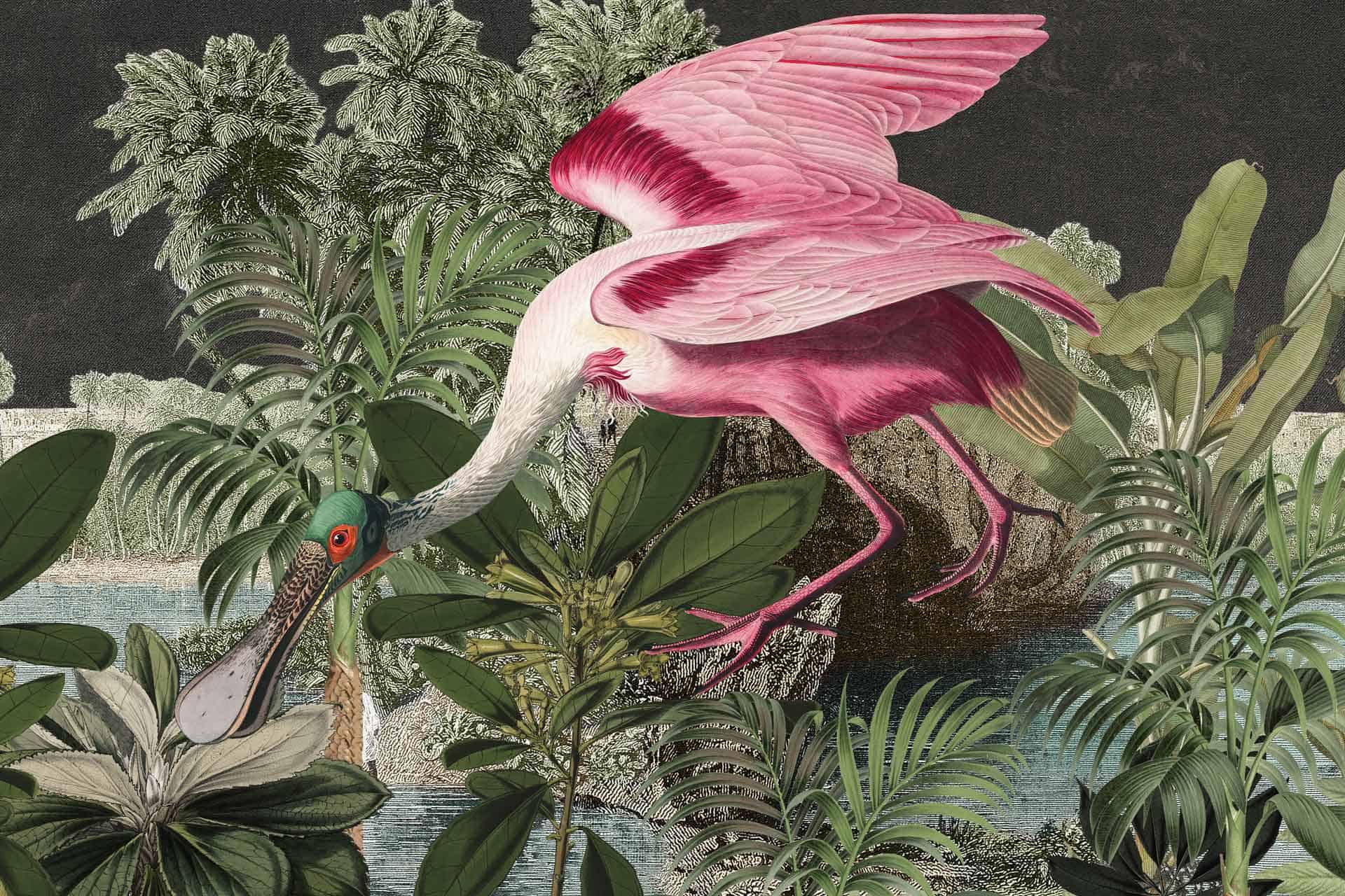 Roseate Spoonbill