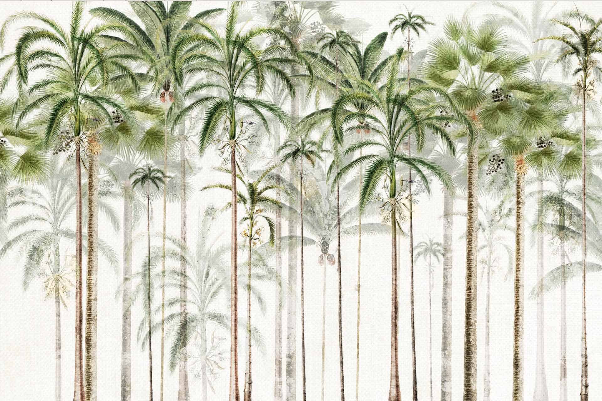 The Tallest Tree