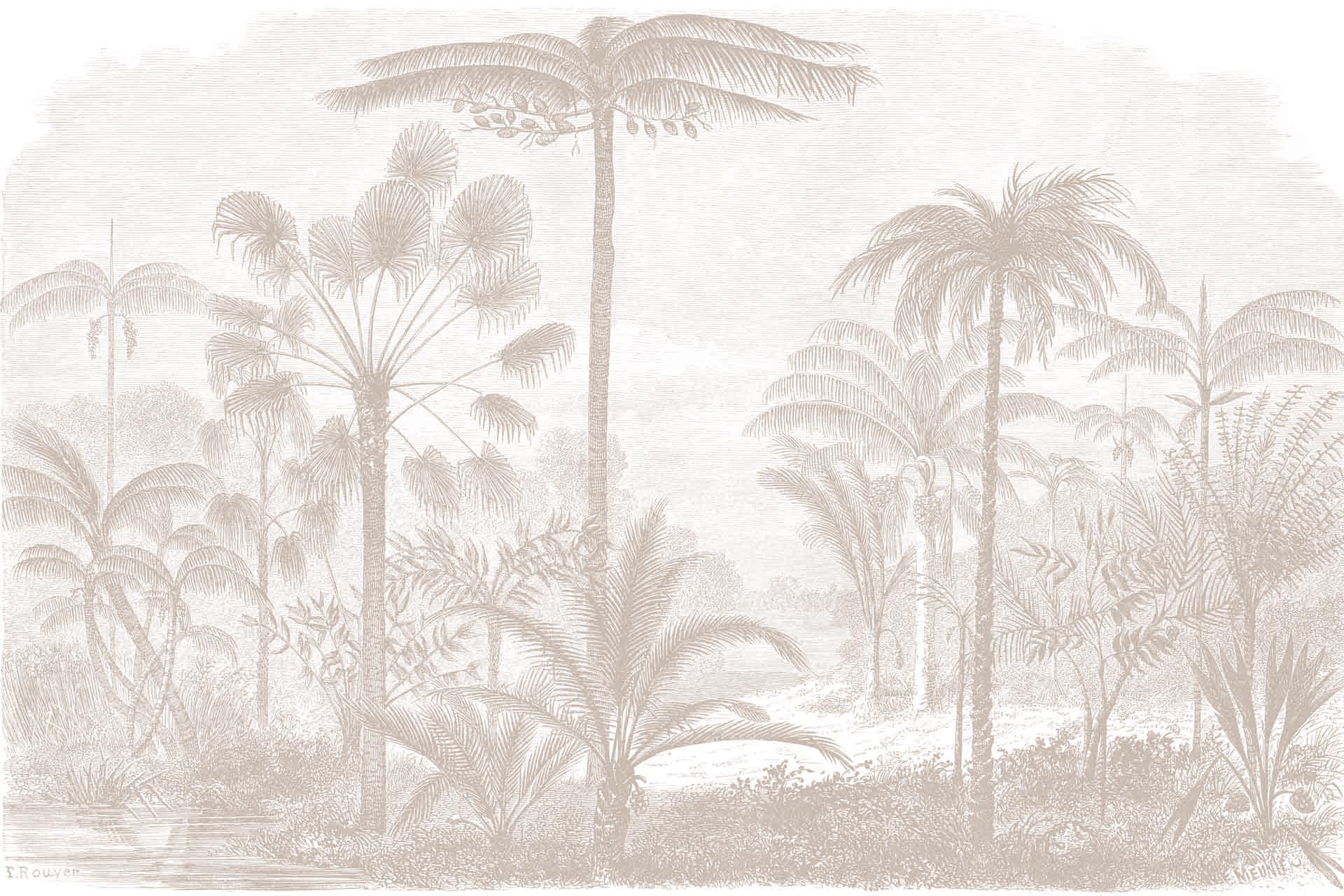 Tropical Storm