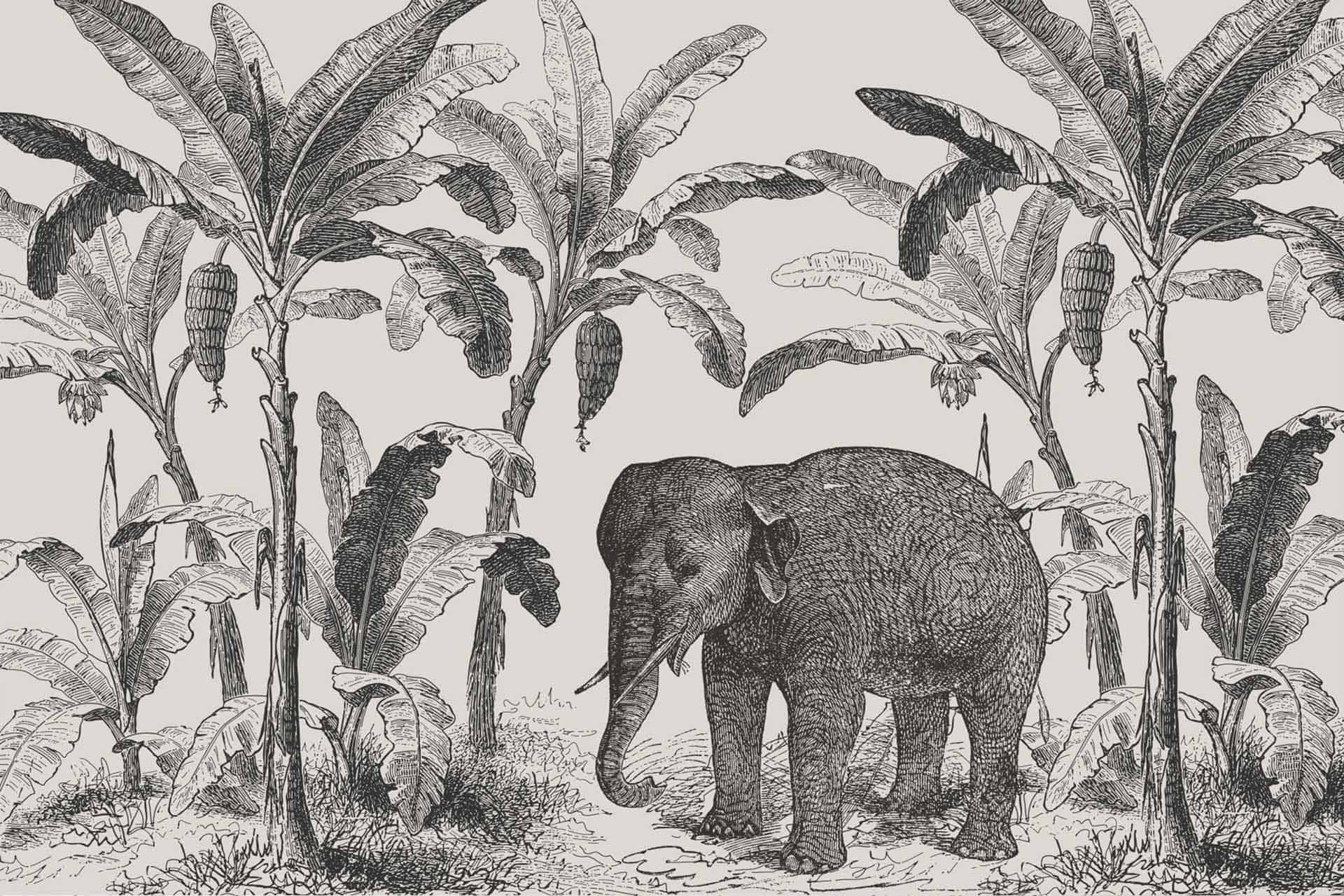 Elephants and Flowers