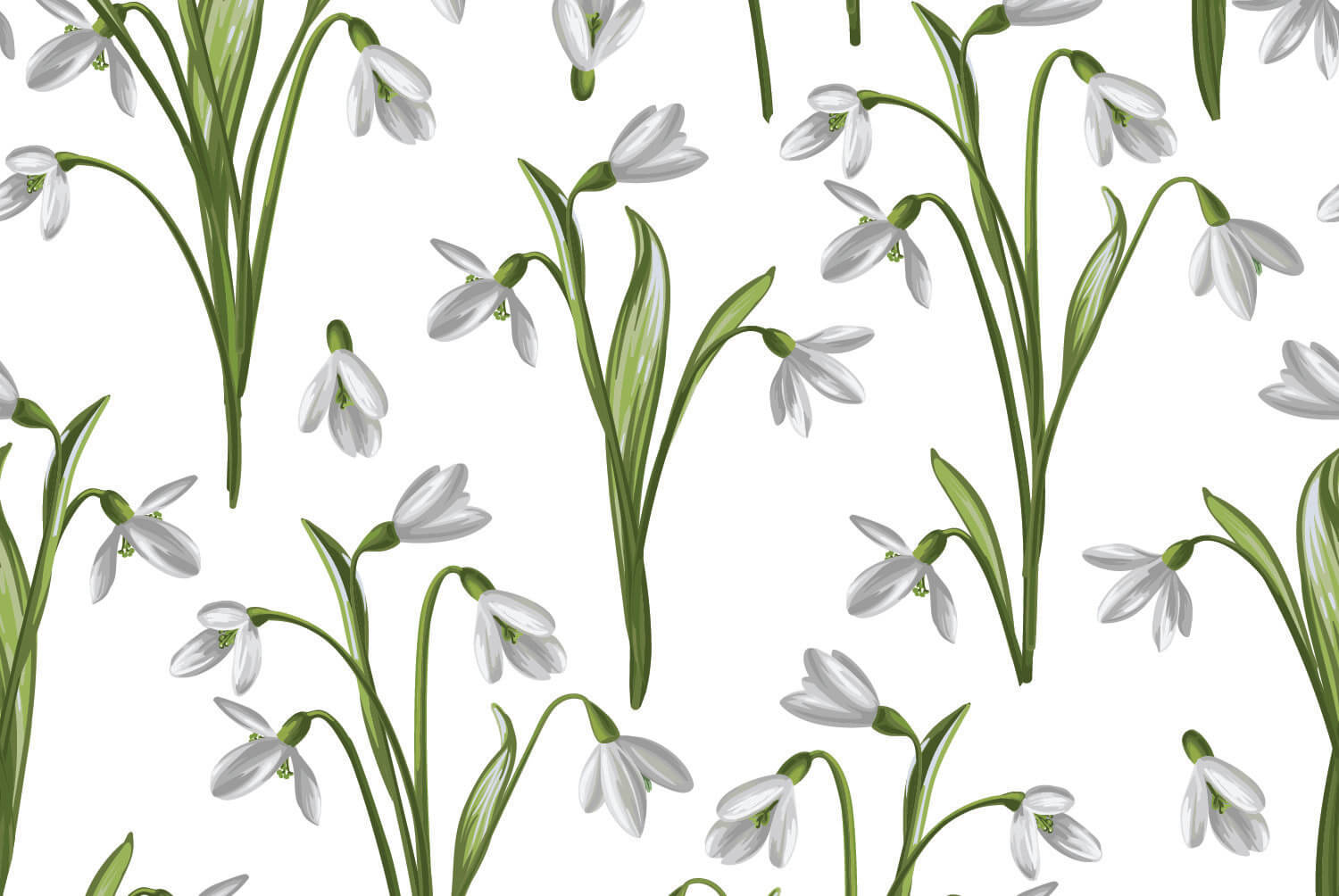 Snowdrops