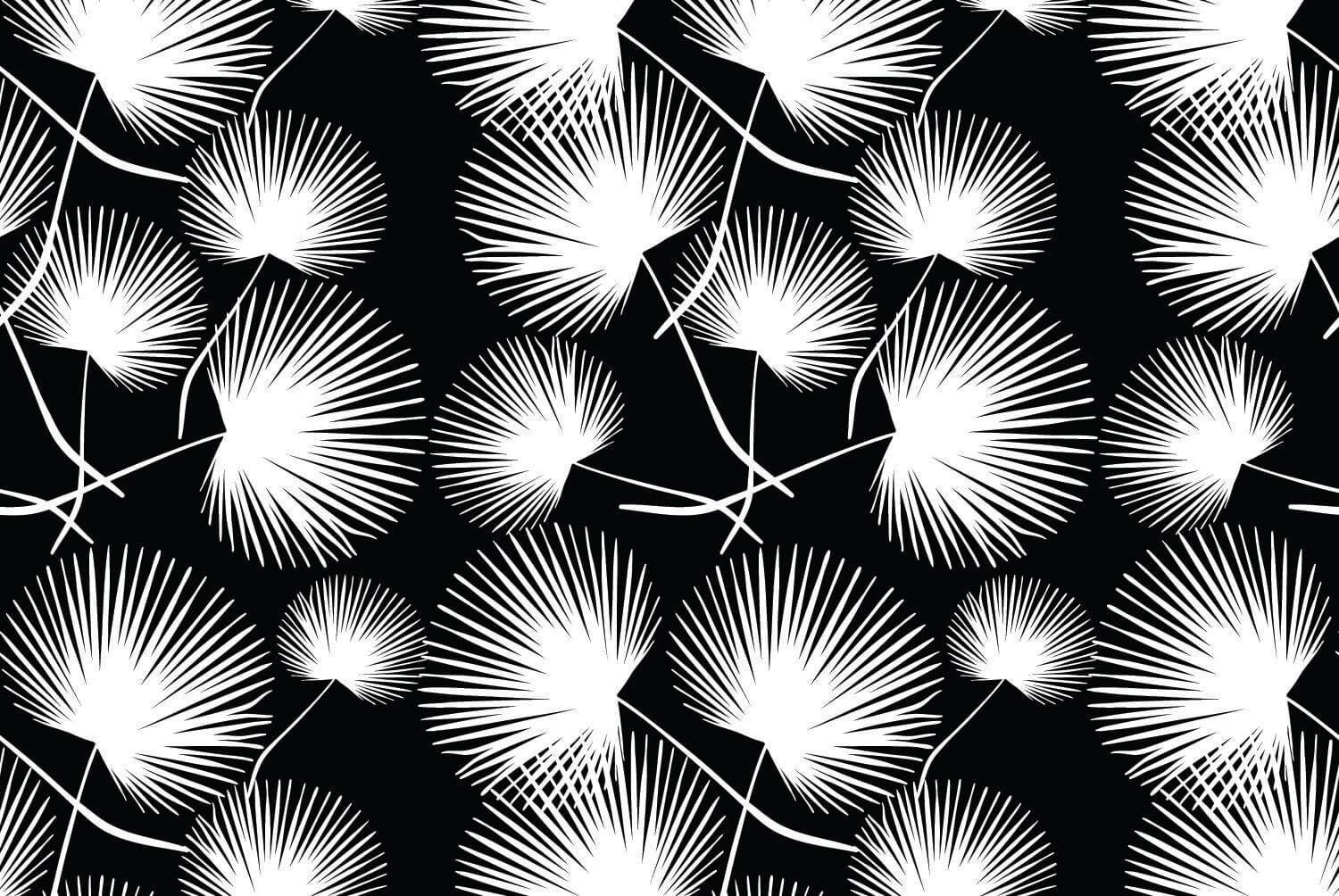 Dandelions