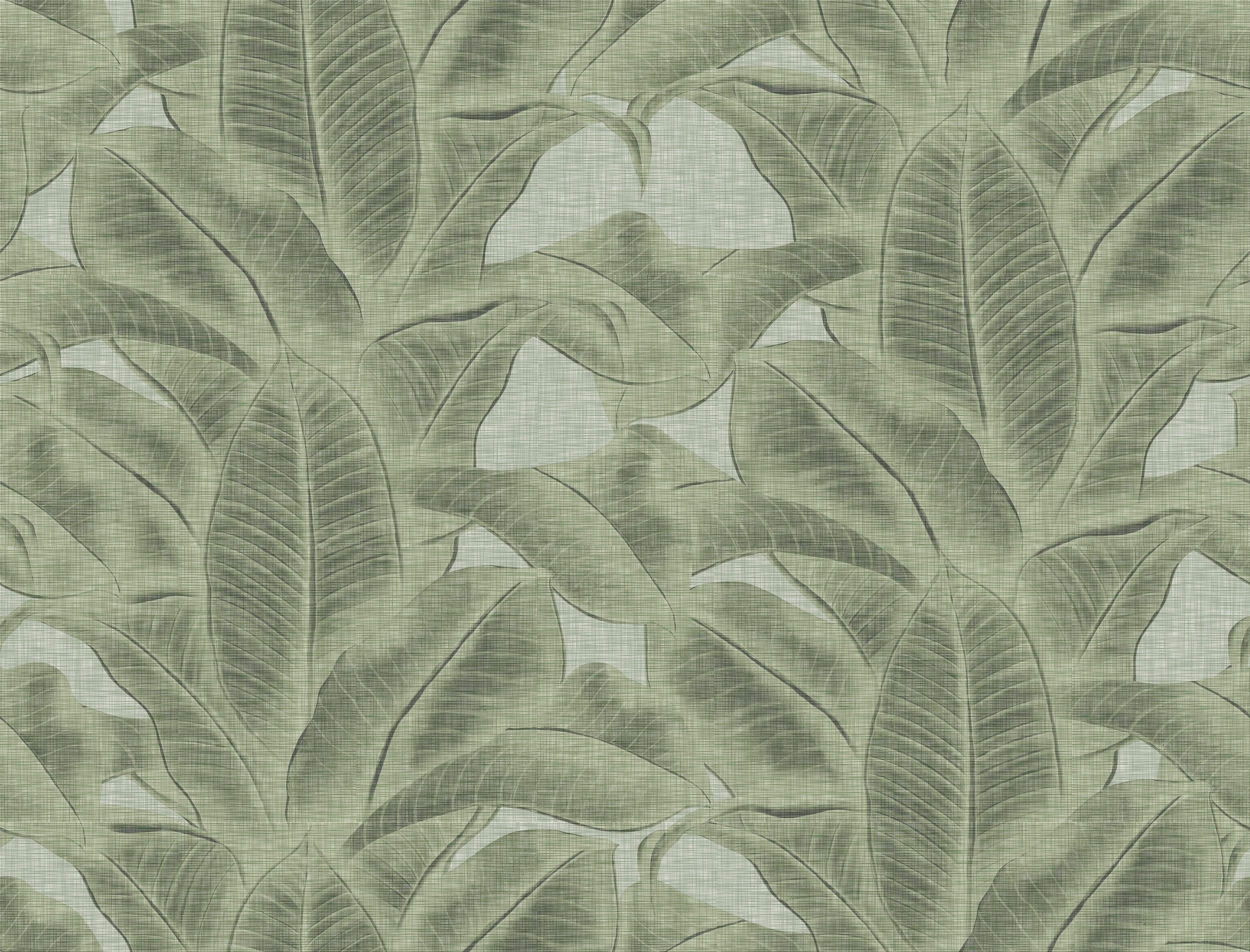 Menthe