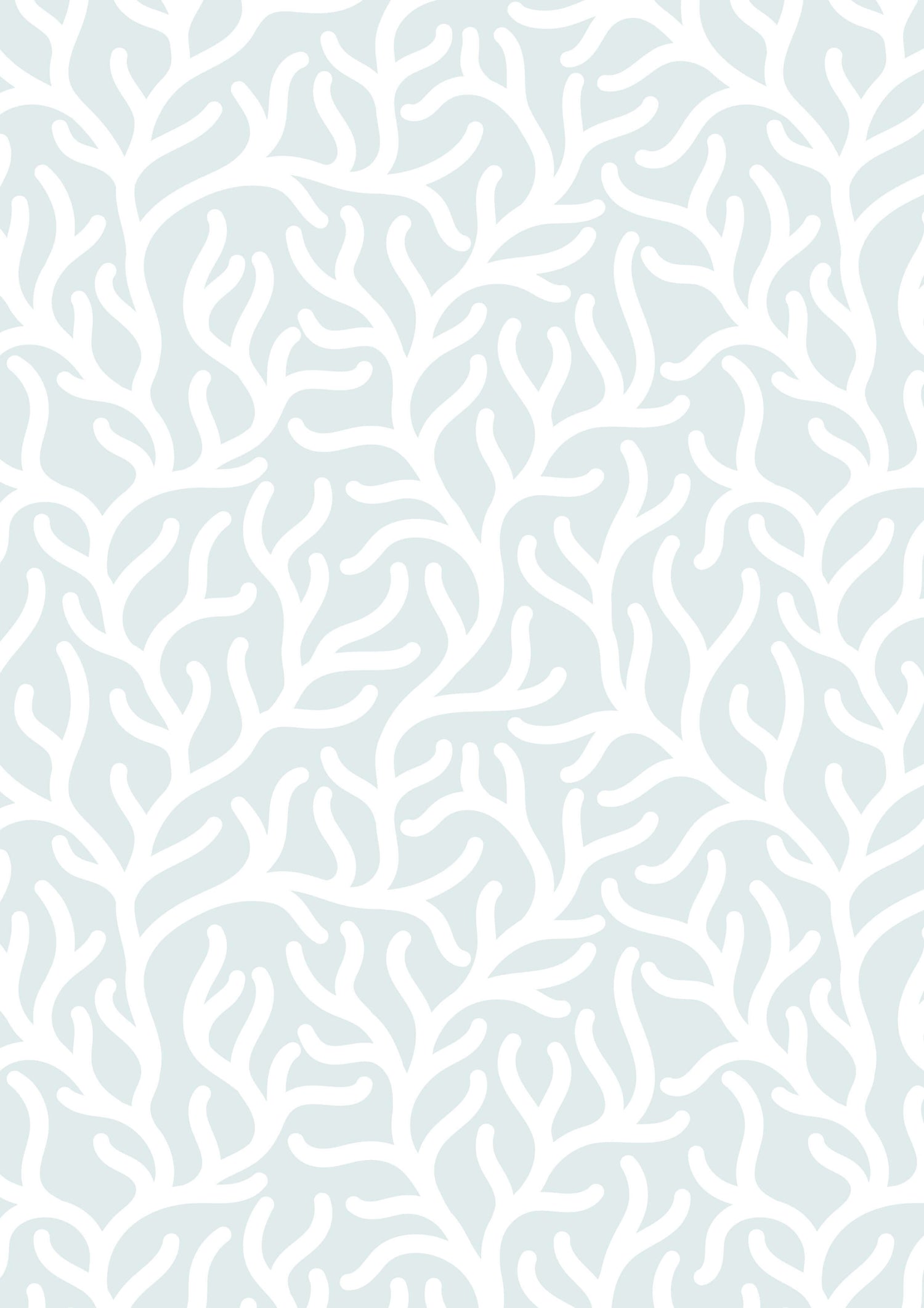 Seagrass