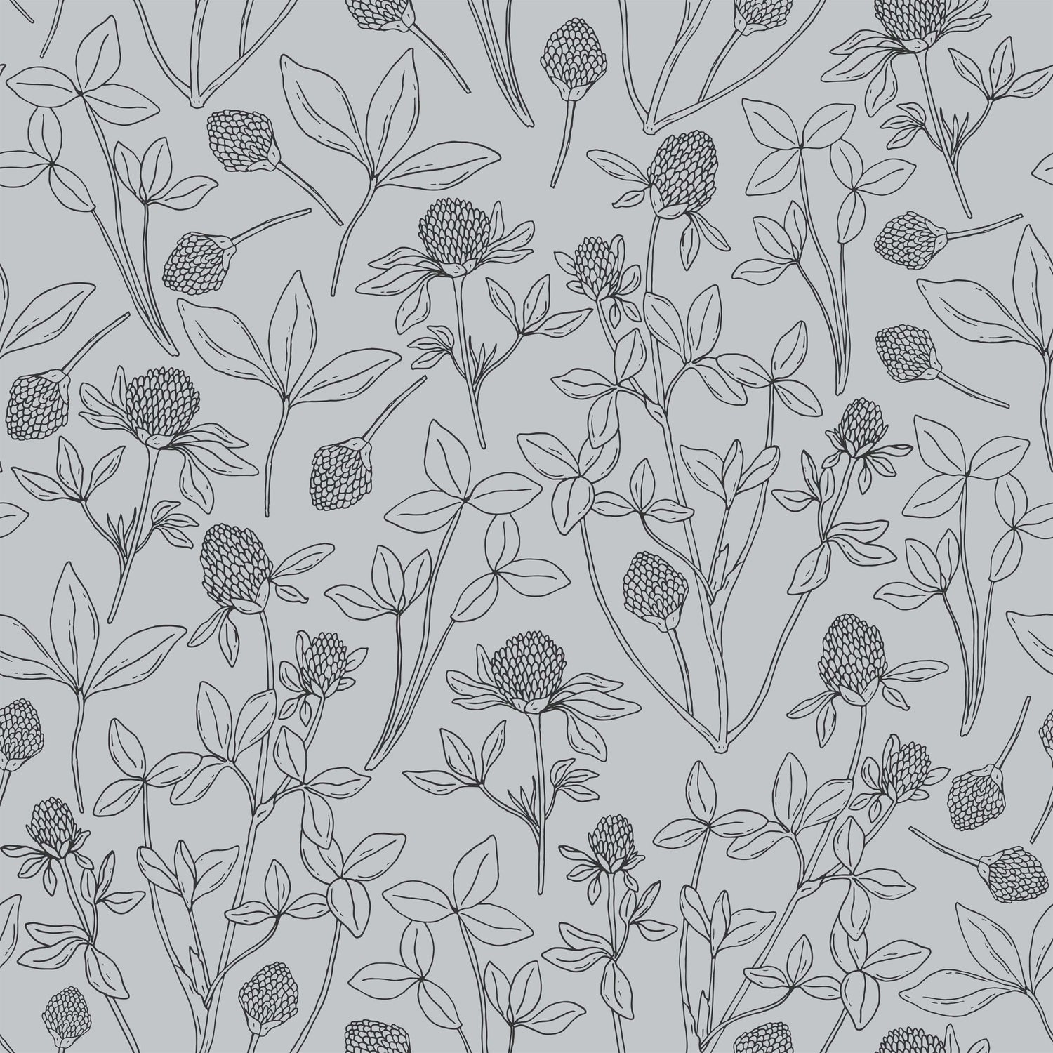 Clover