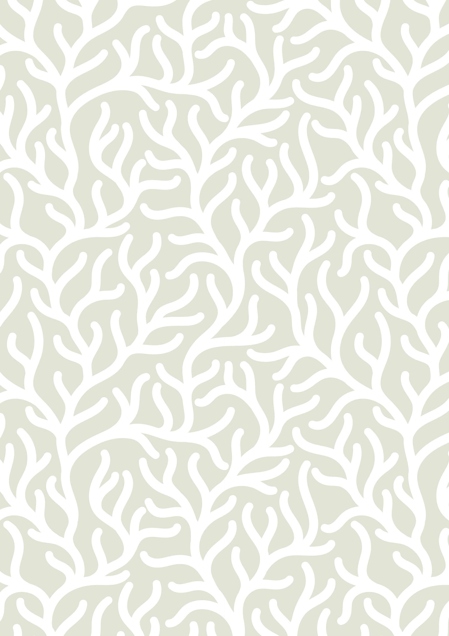 Seagrass