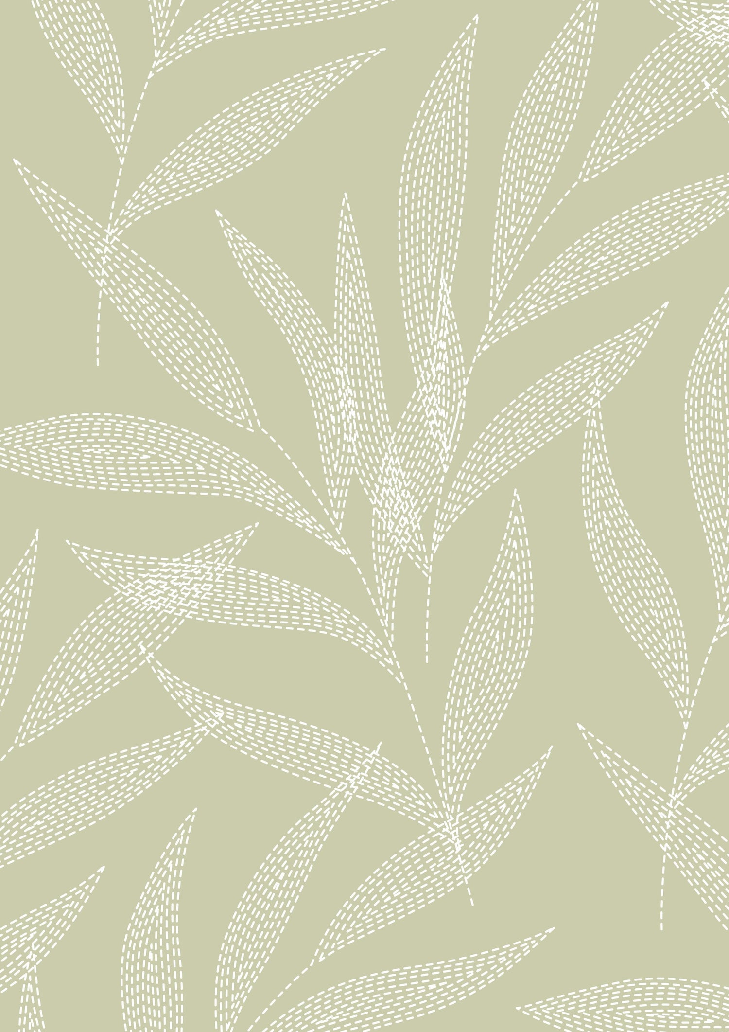 Ivory Palm