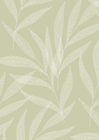 Ivory Palm
