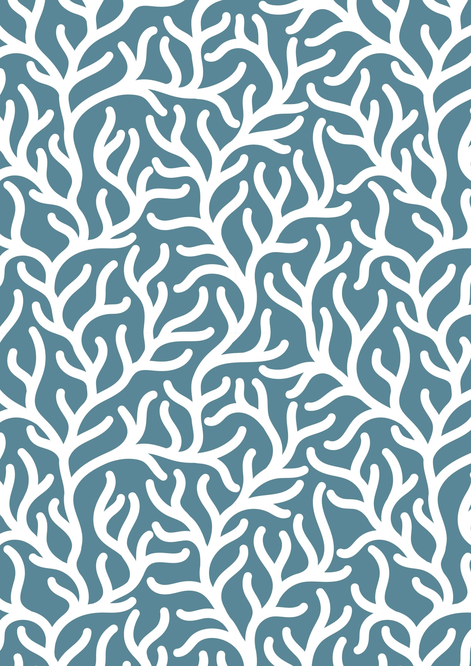 Seagrass
