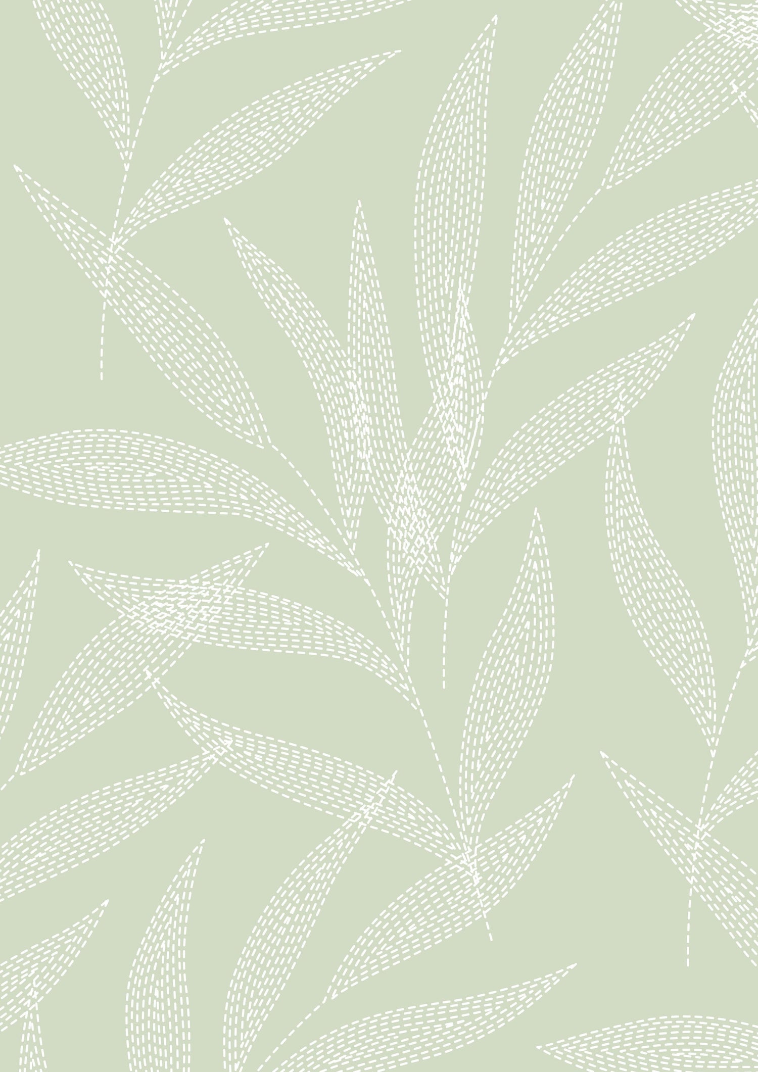 Ivory Palm