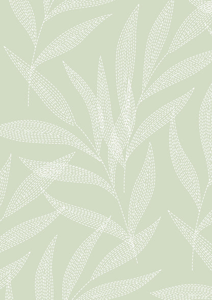 Ivory Palm