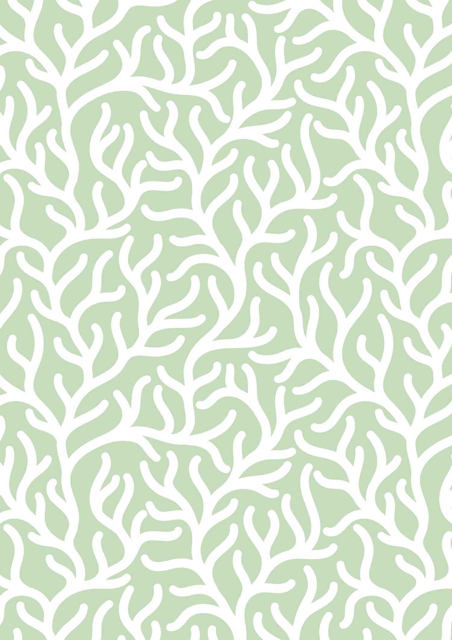 Seagrass