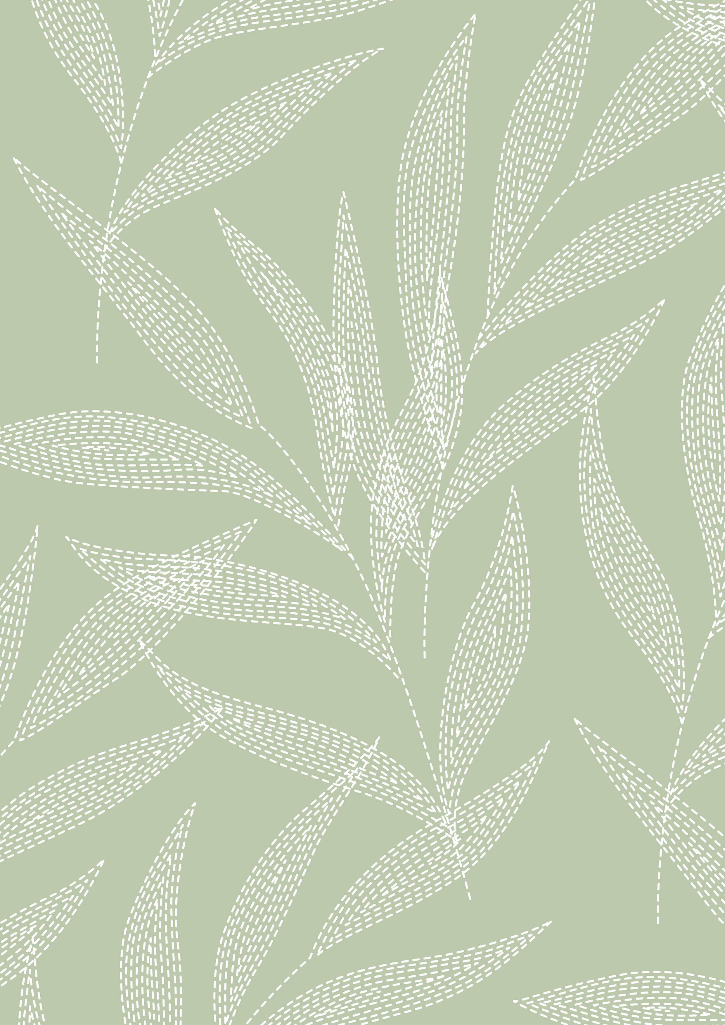 Ivory Palm