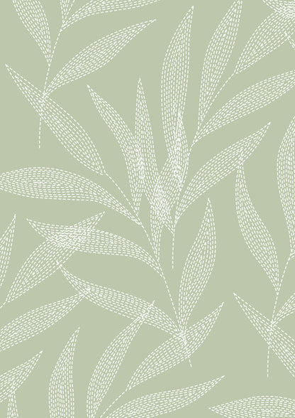 Ivory Palm