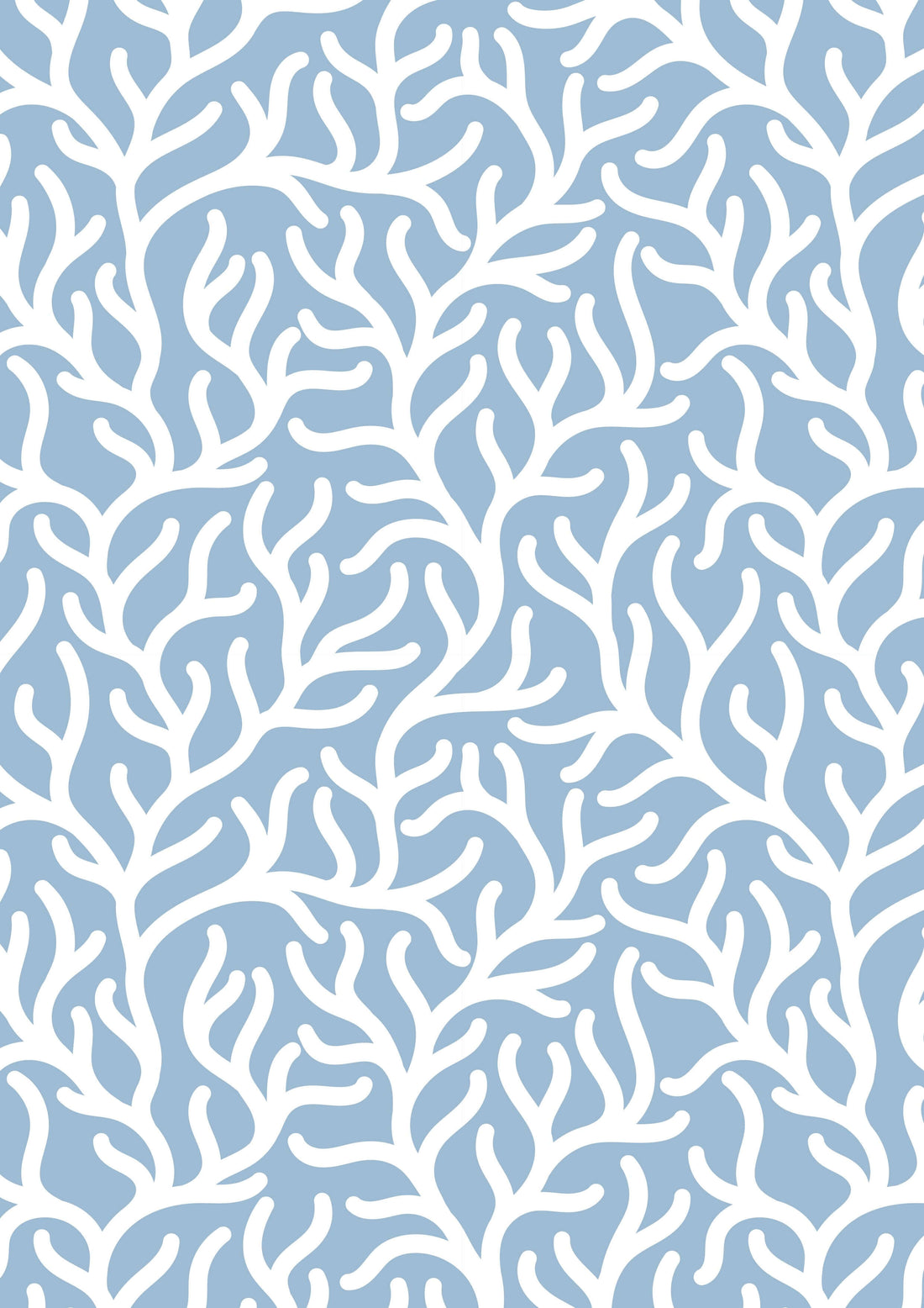 Seagrass