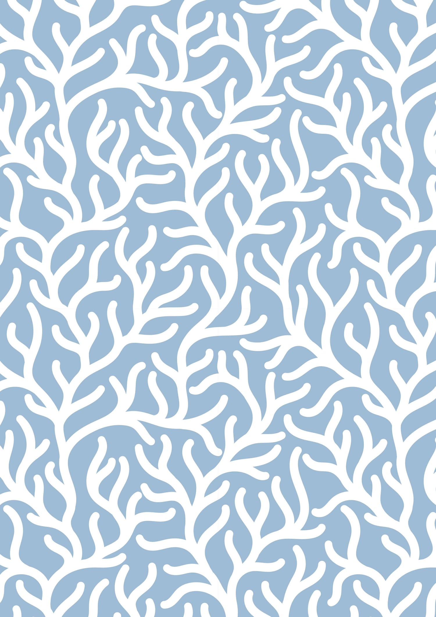 Seagrass