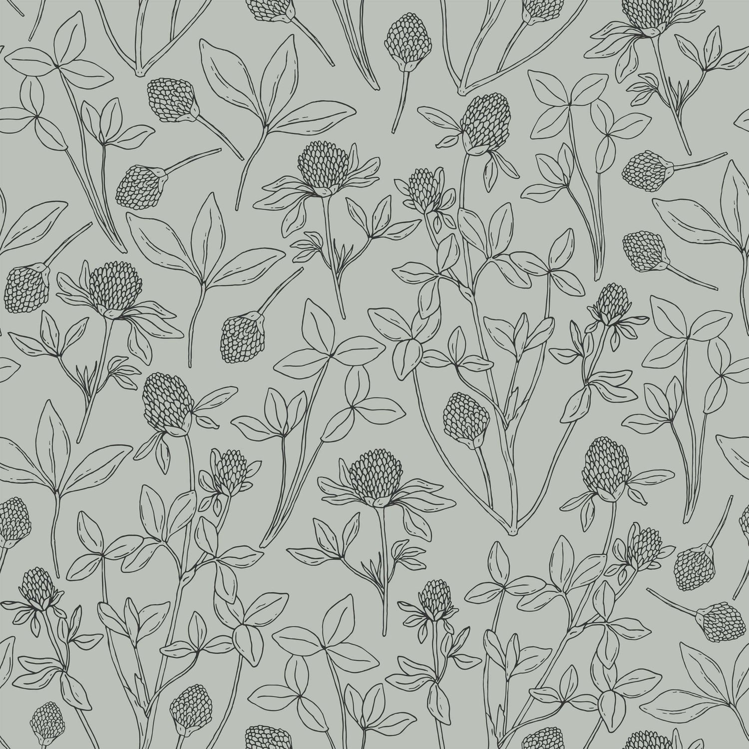 Clover