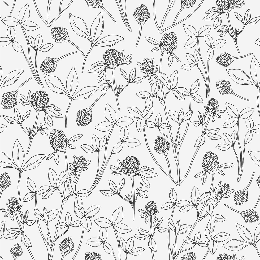 Clover