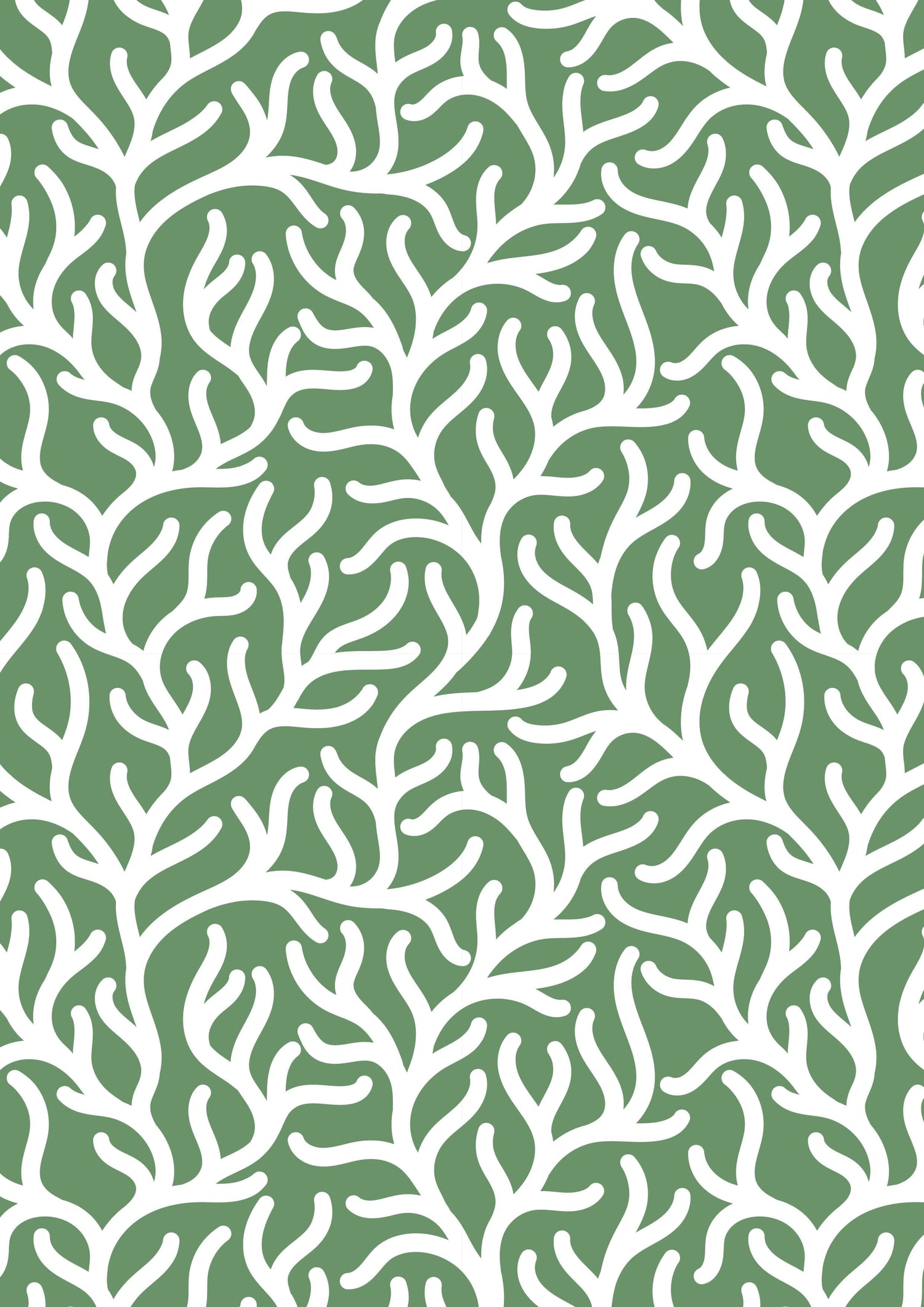 Seagrass