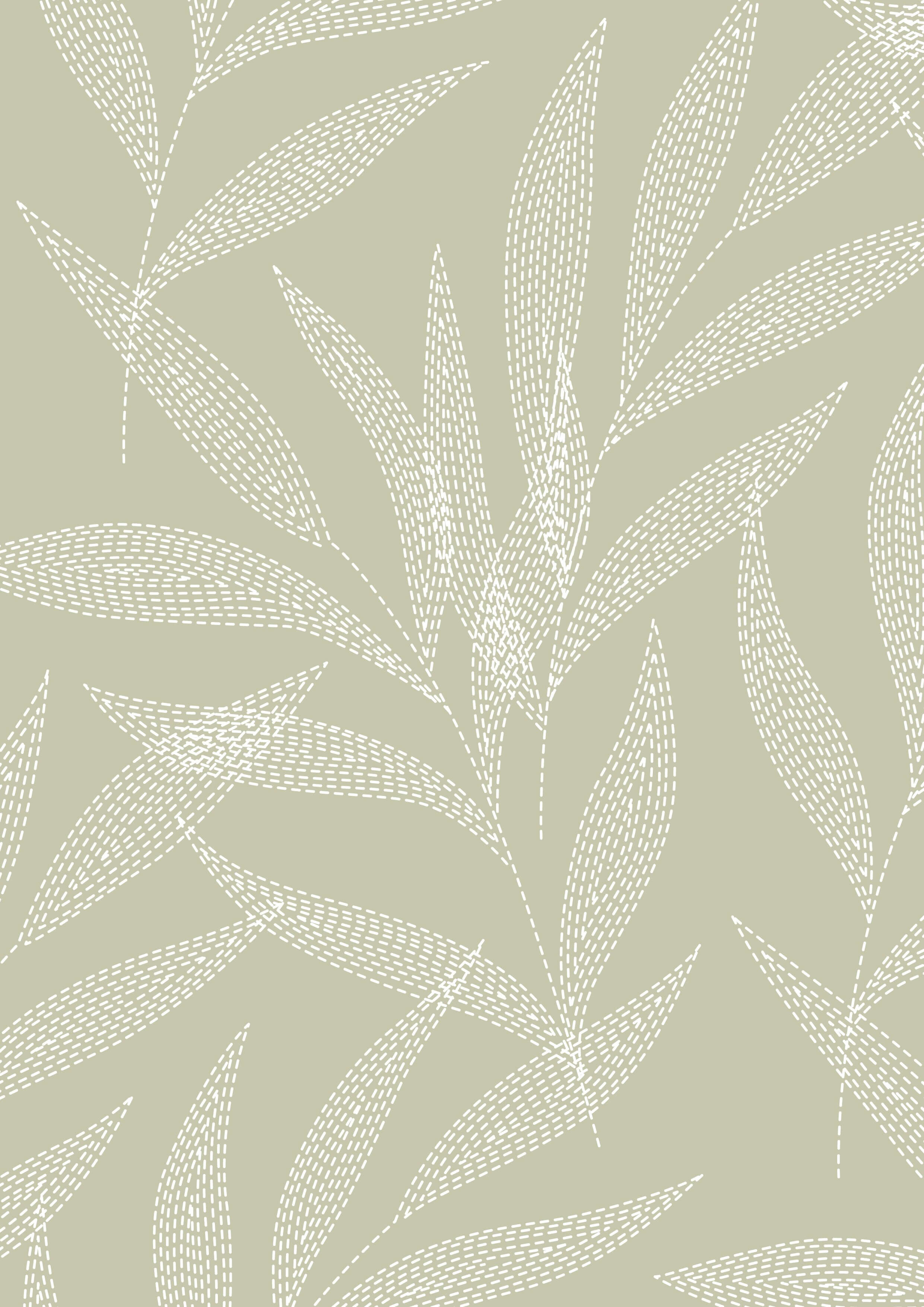 Ivory Palm