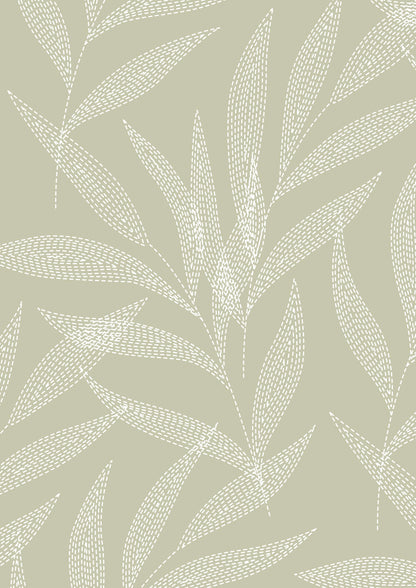 Ivory Palm