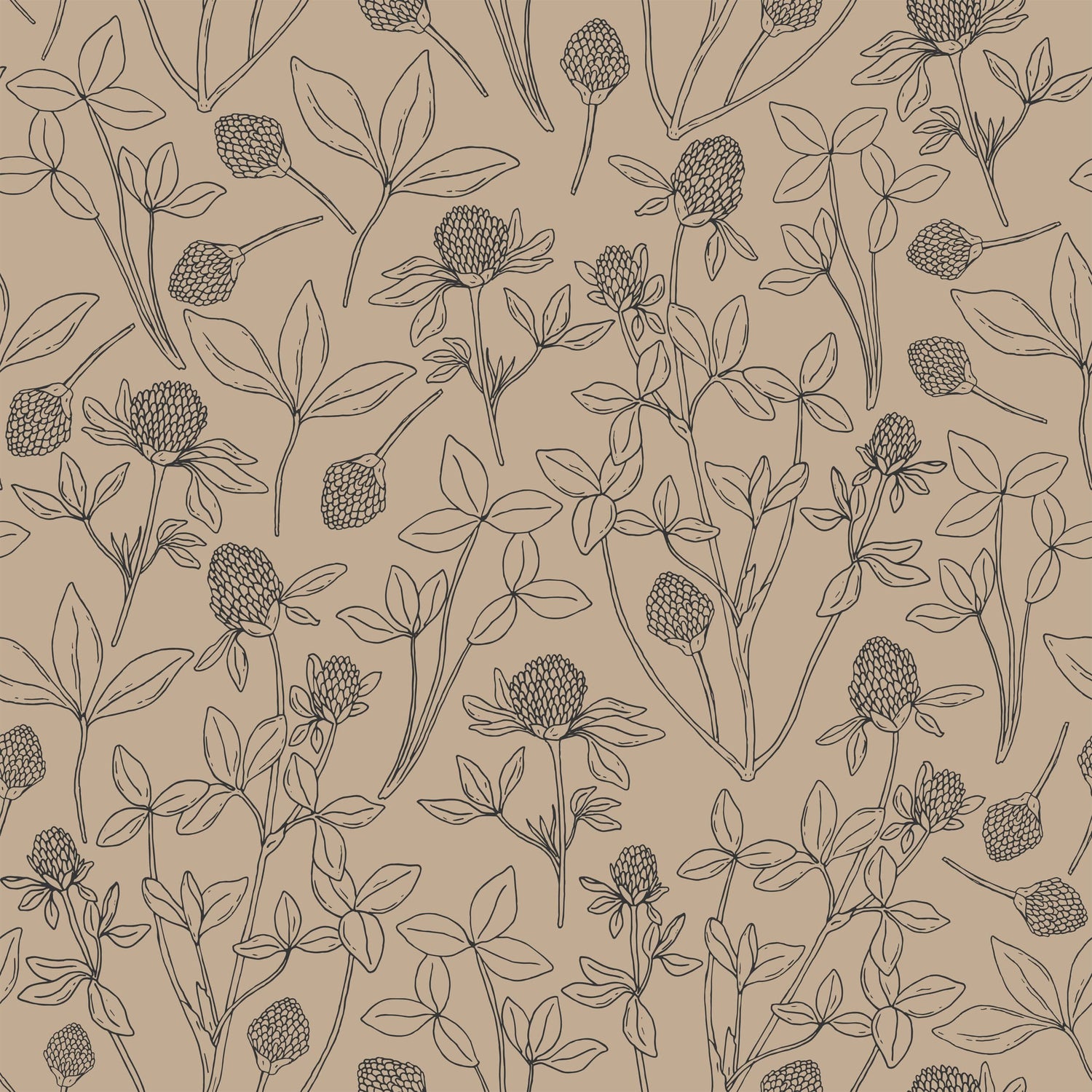 Clover