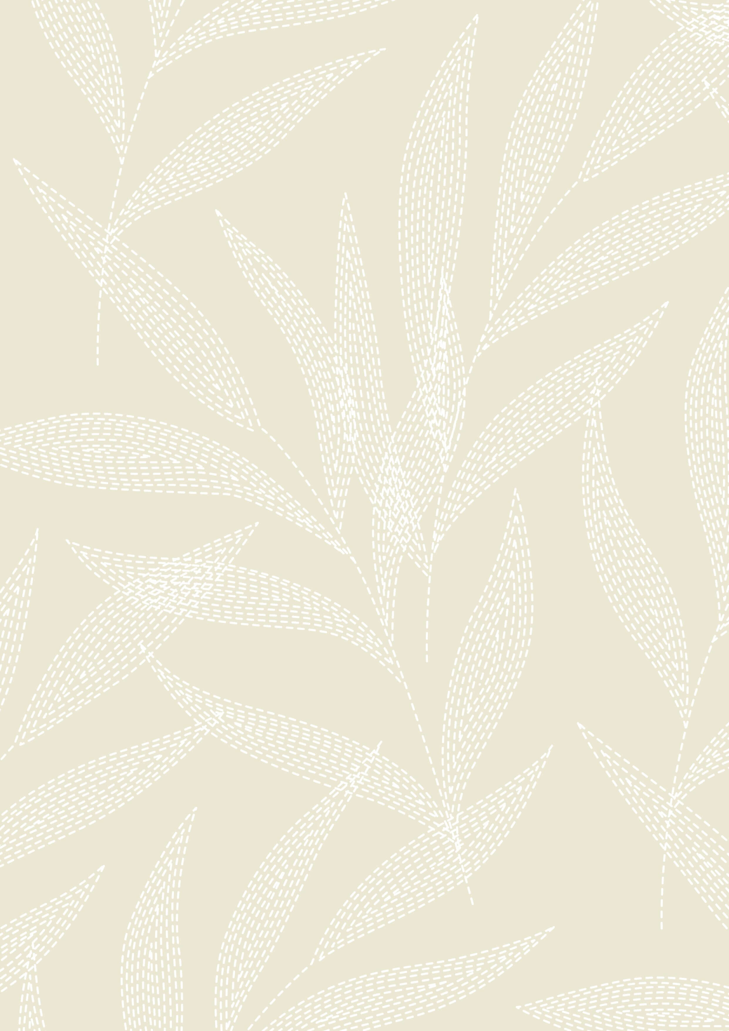 Ivory Palm