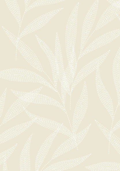 Ivory Palm