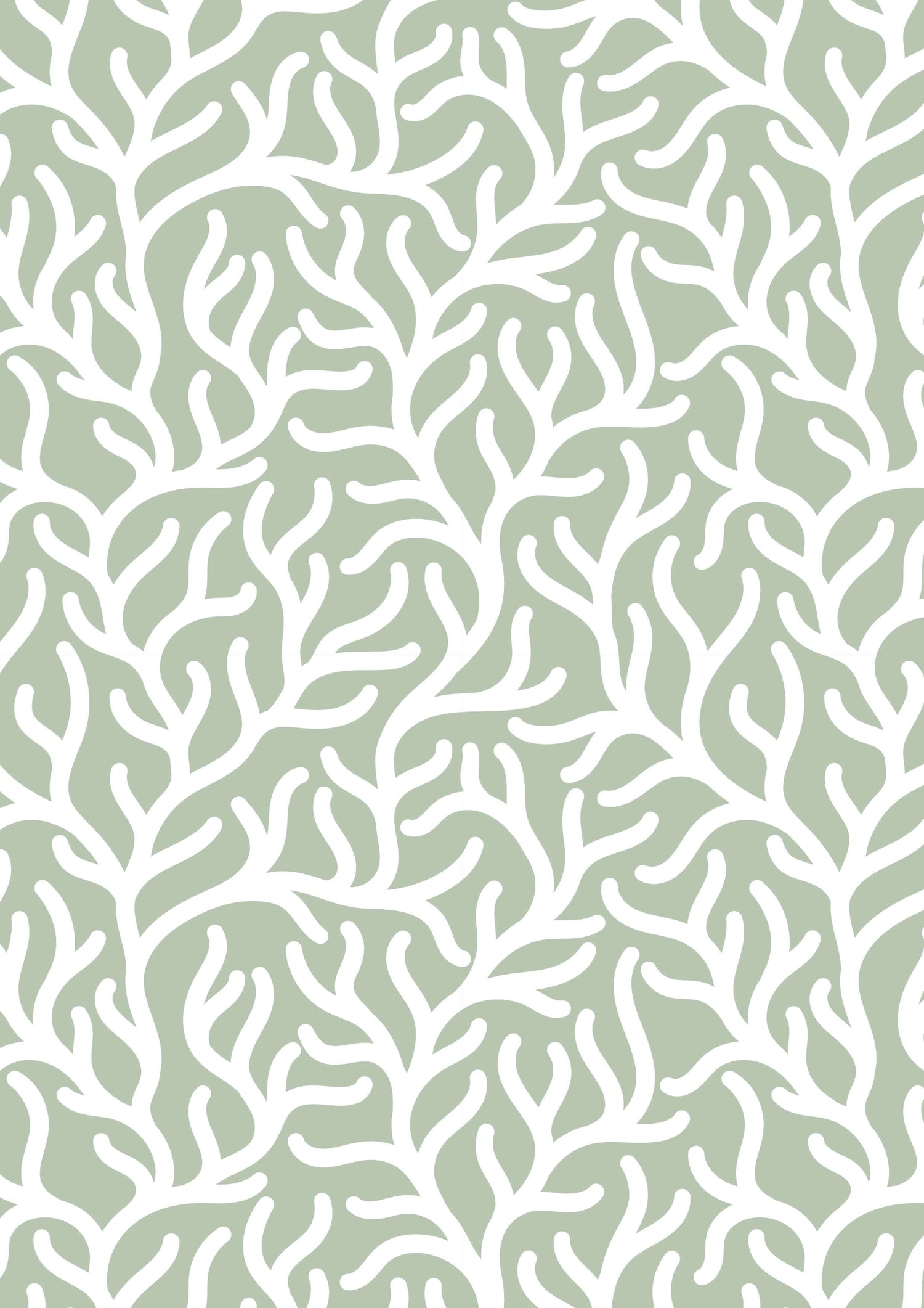 Seagrass