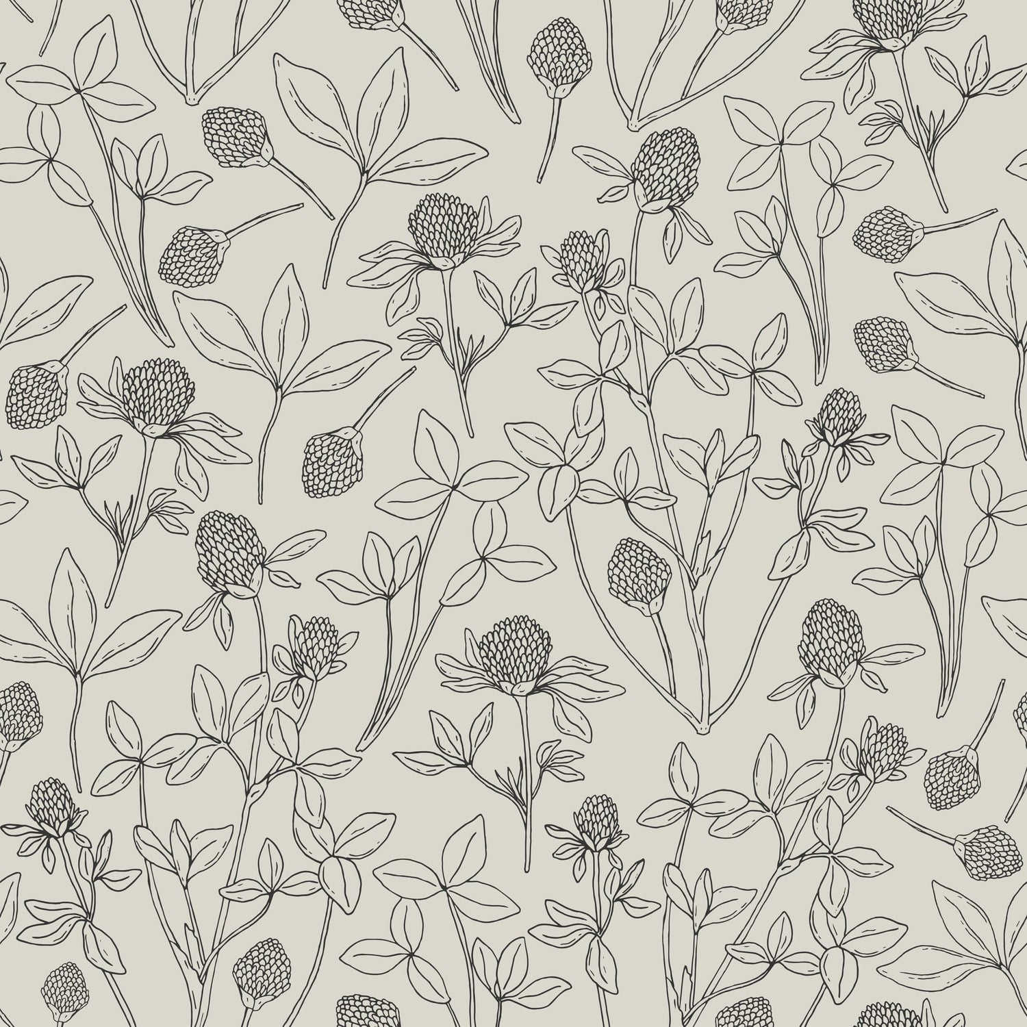 Clover