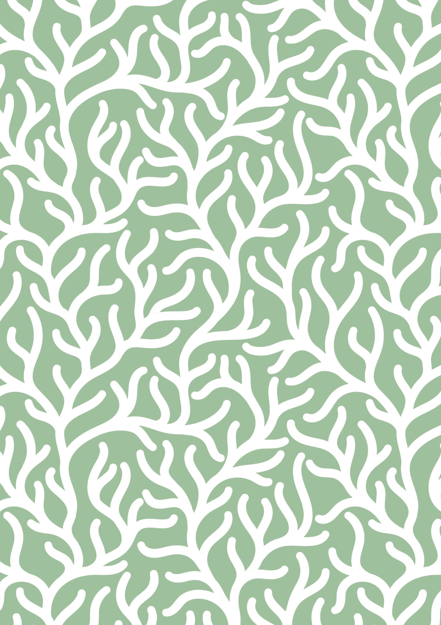 Seagrass