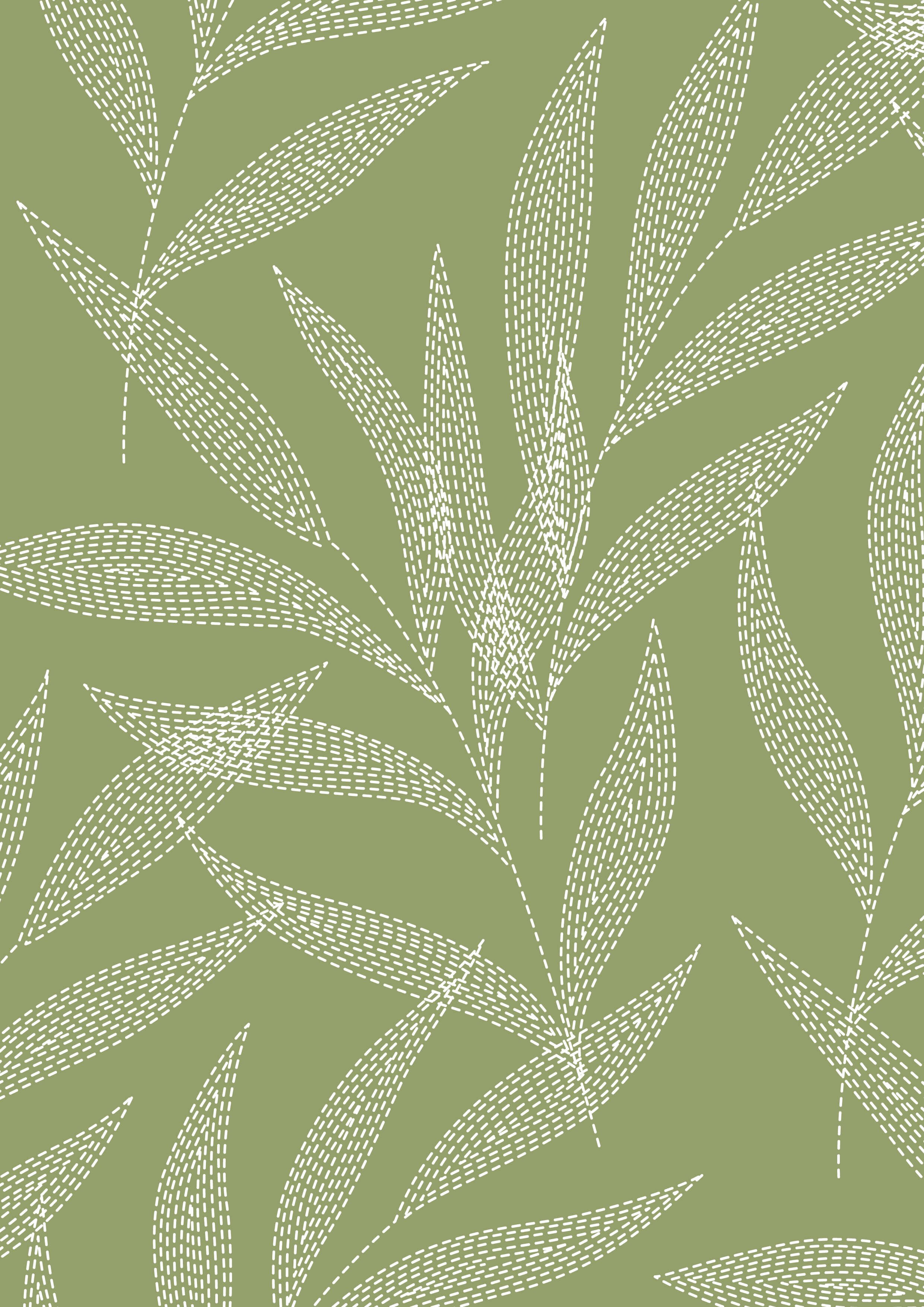 Ivory Palm