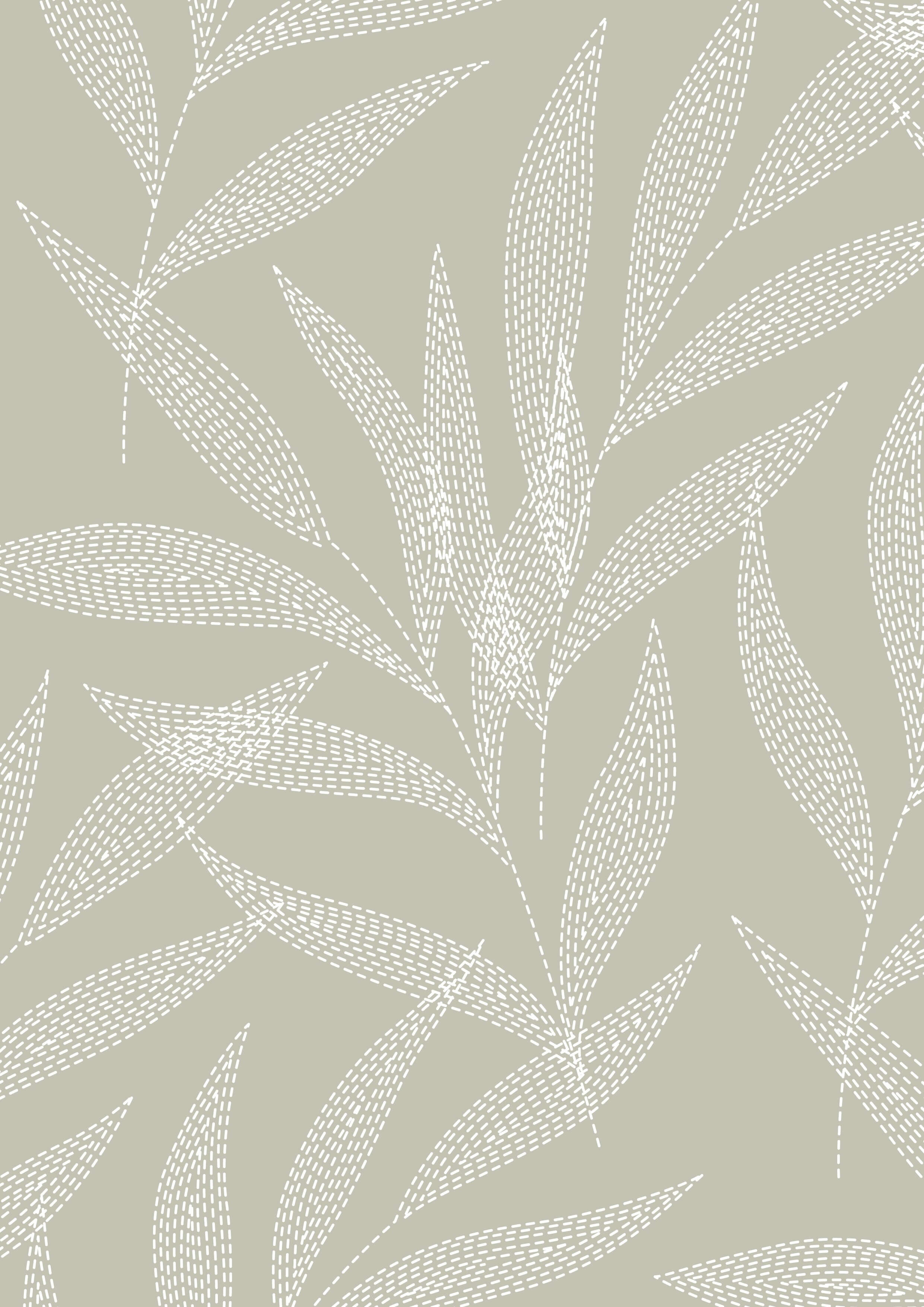 Ivory Palm
