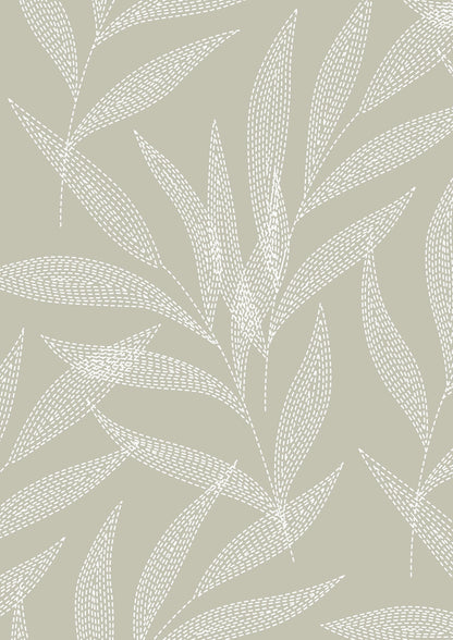 Ivory Palm