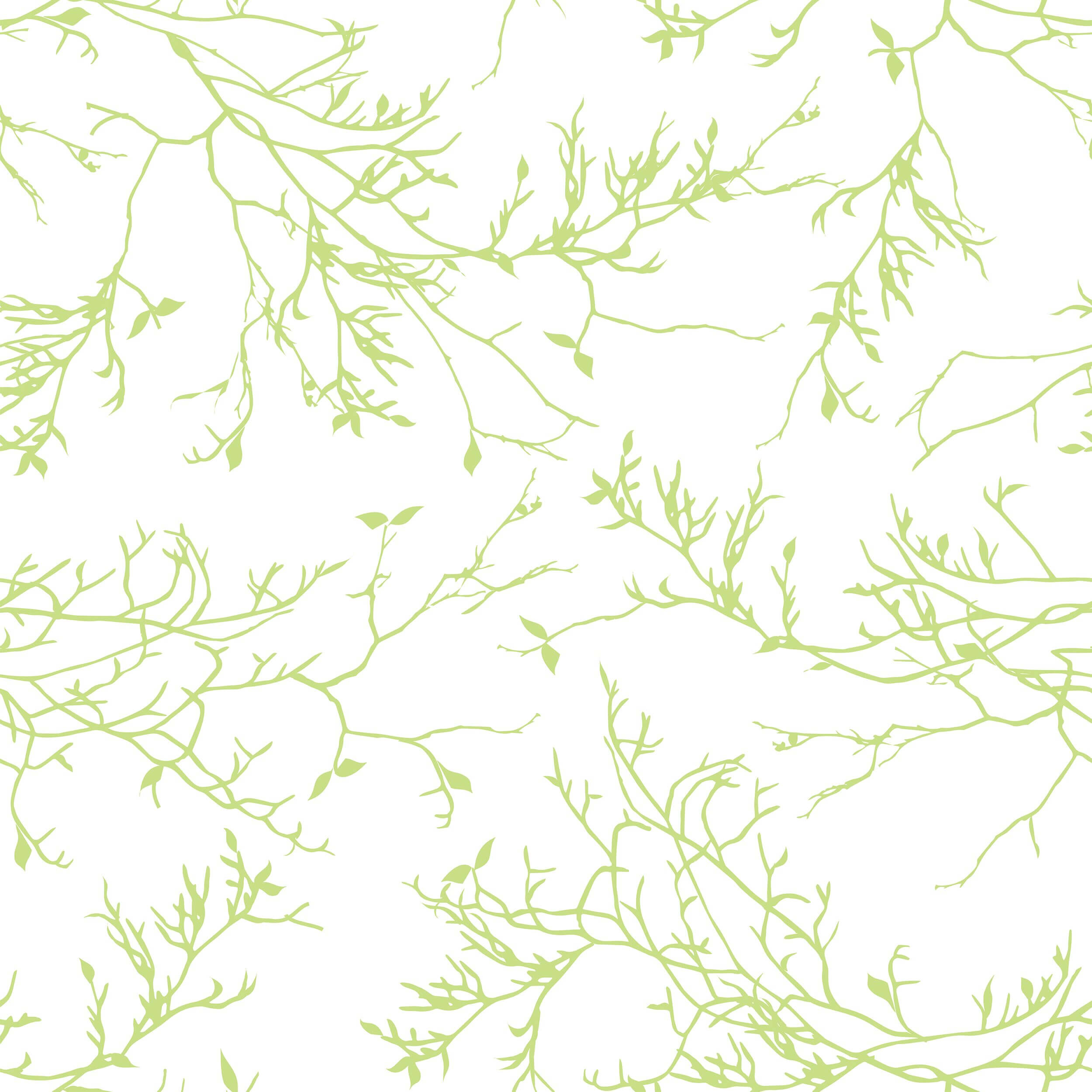 Twisted Willow