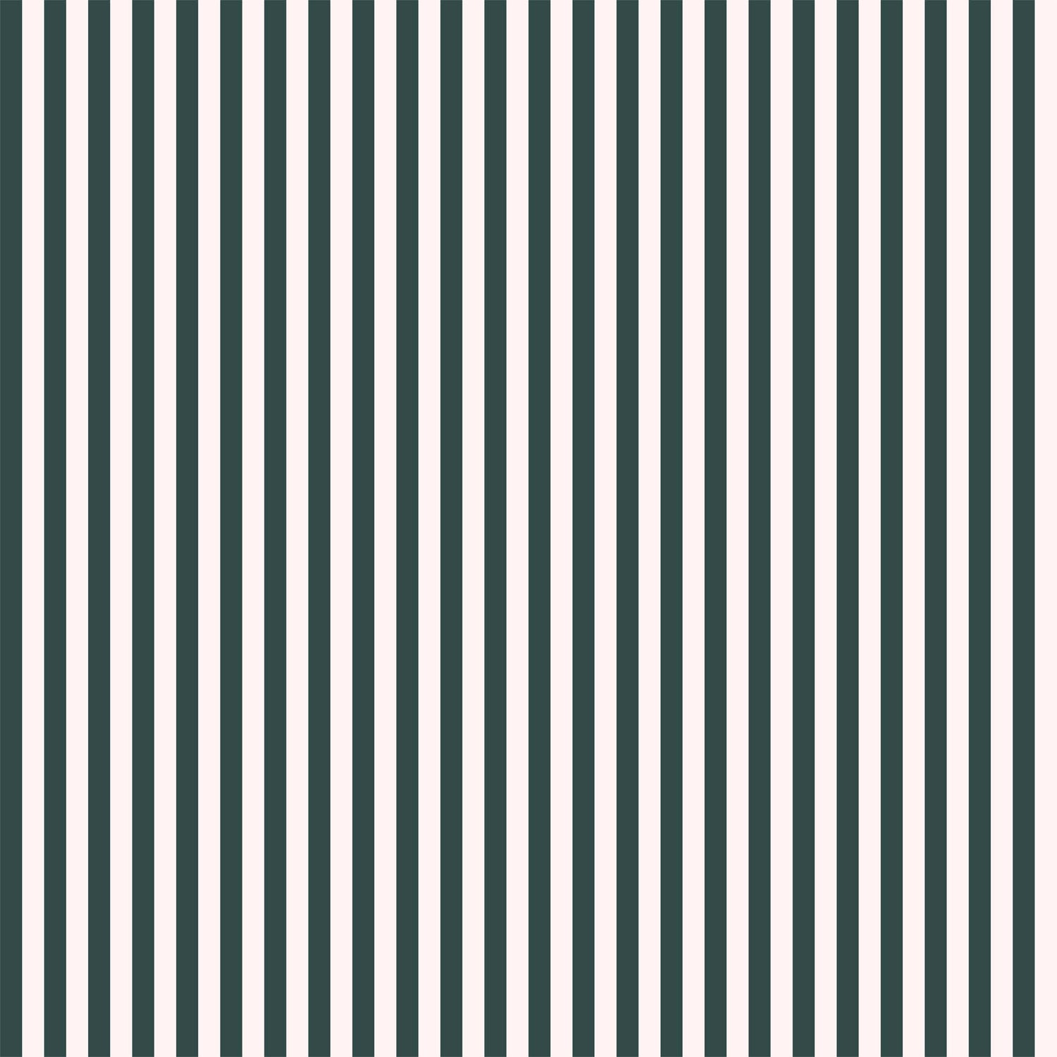 Candy Stripe