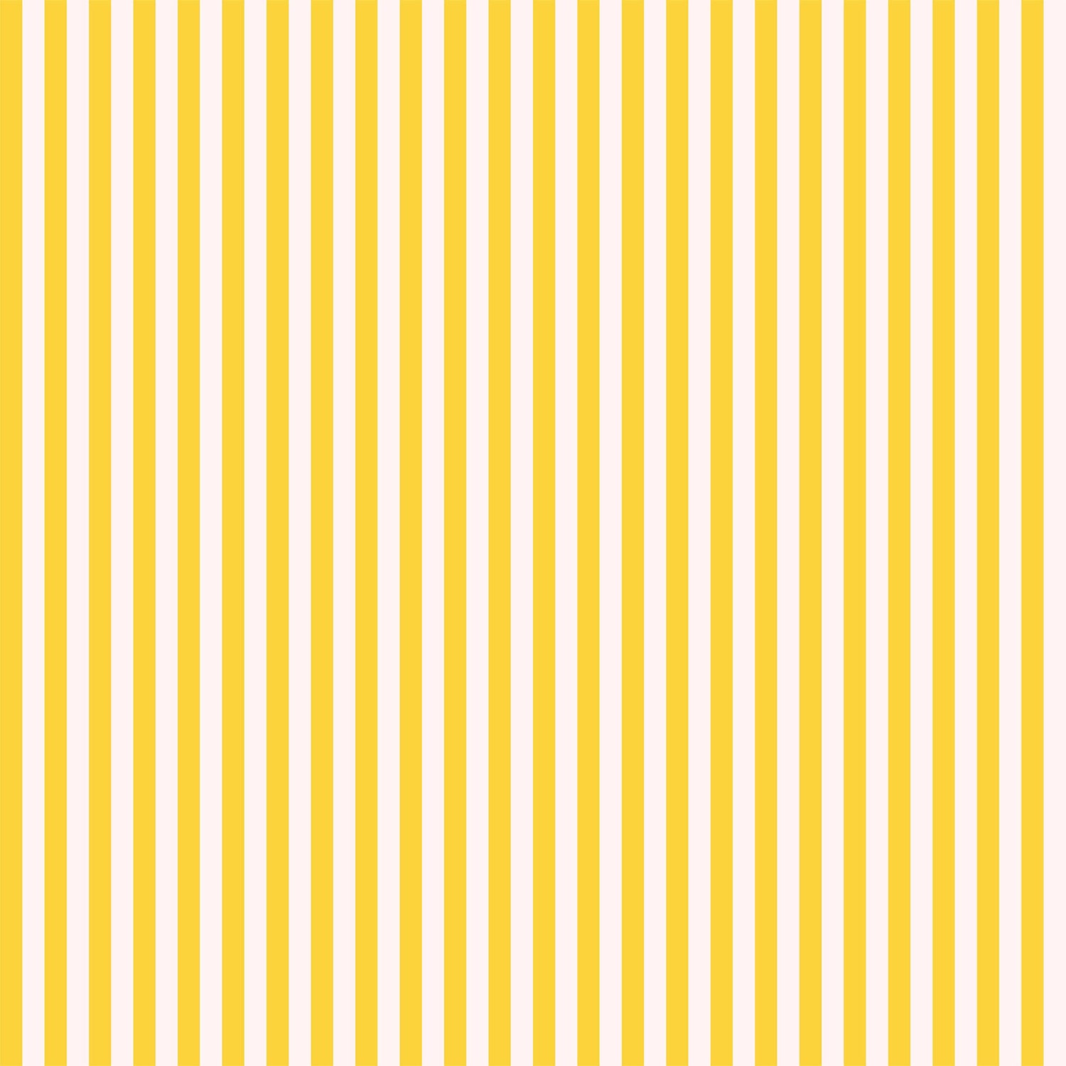 Candy Stripe