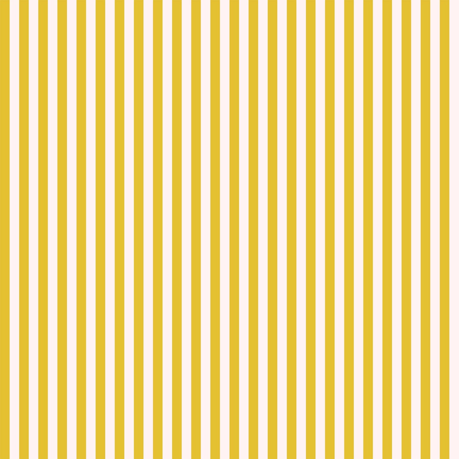 Candy Stripe