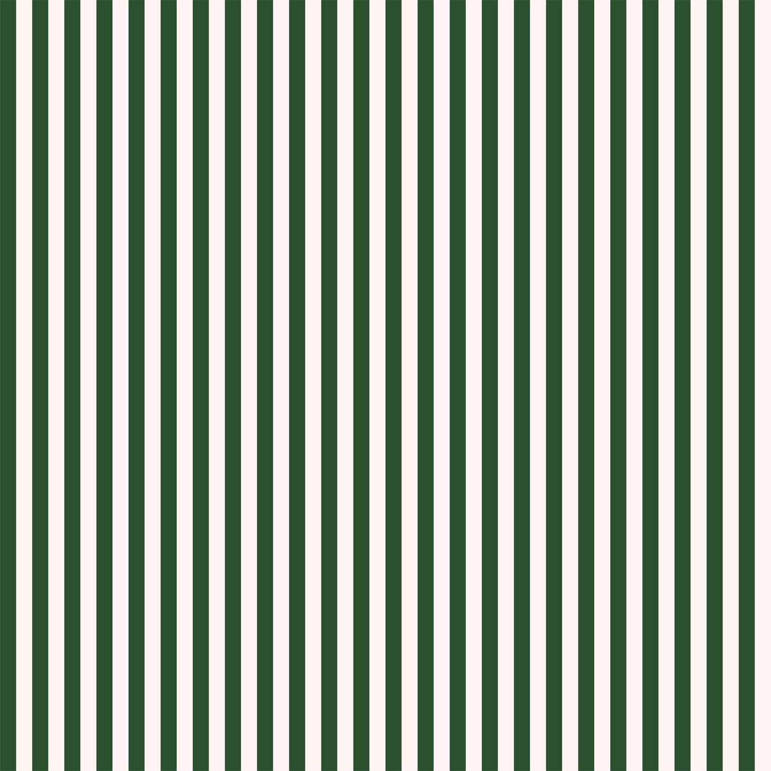 Candy Stripe