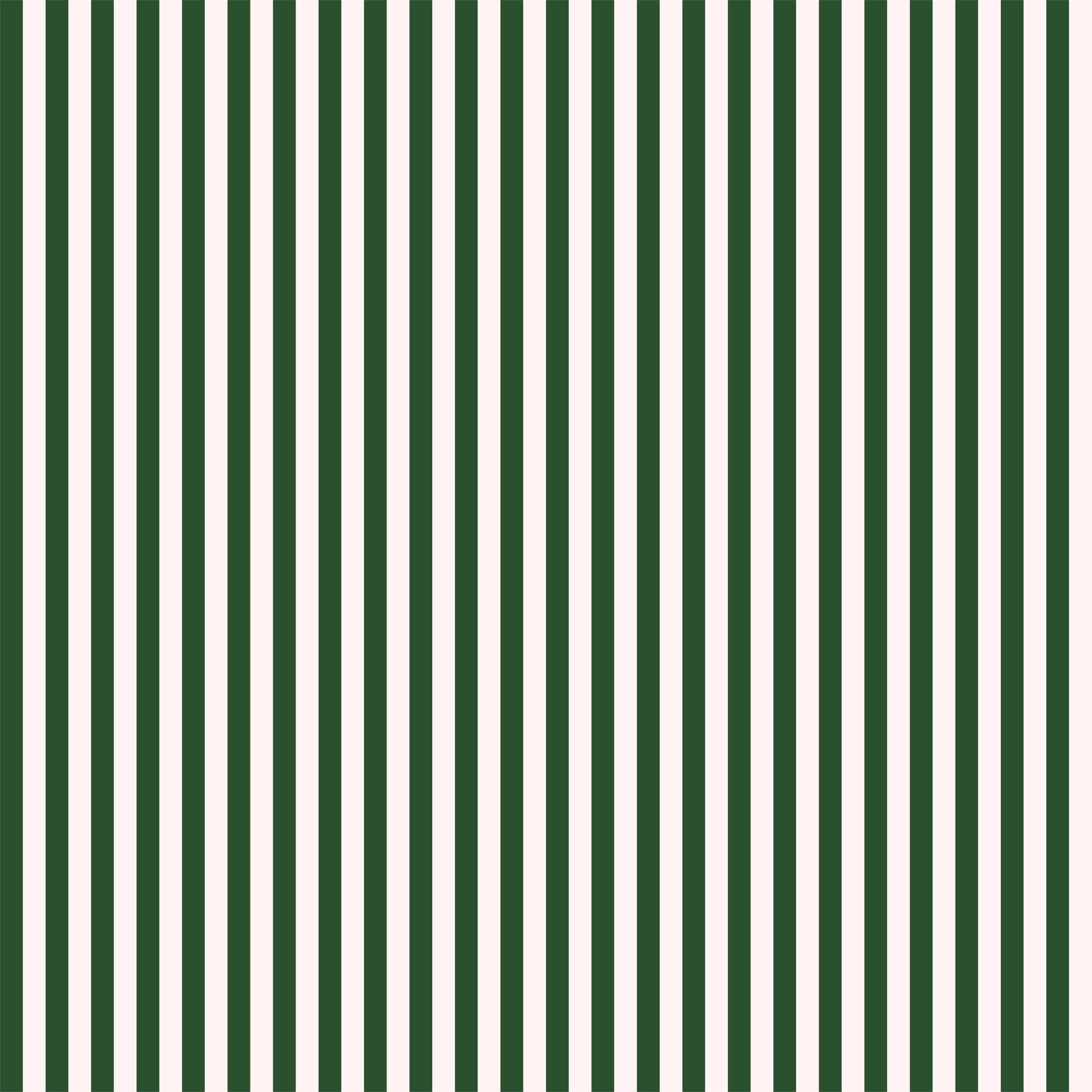 Candy Stripe