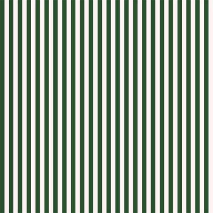 Candy Stripe