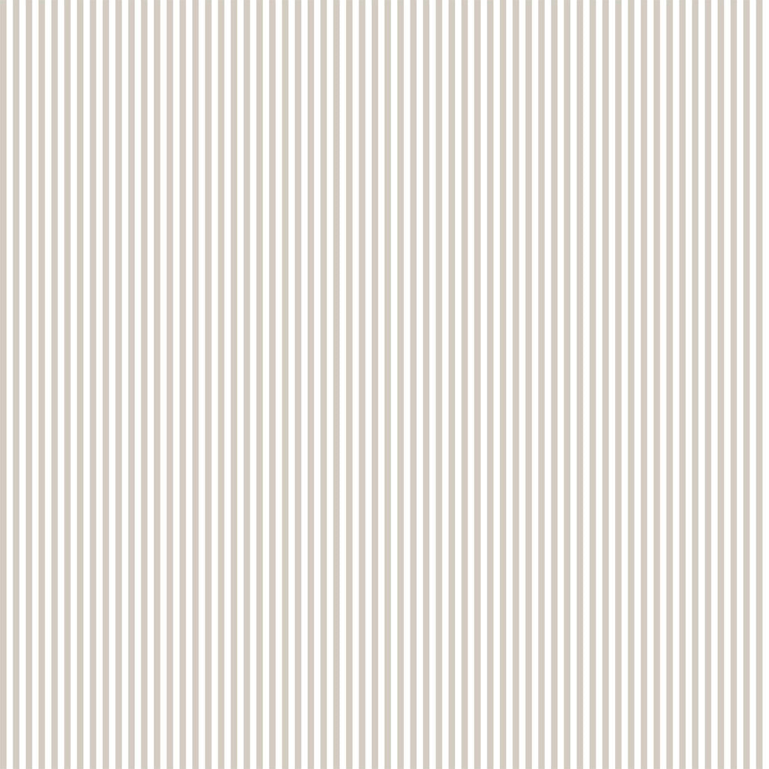 Pencil Stripe