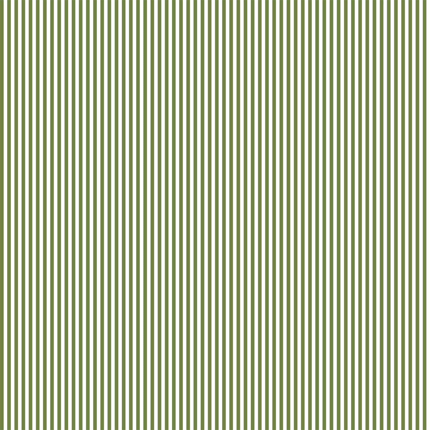 Pencil Stripe