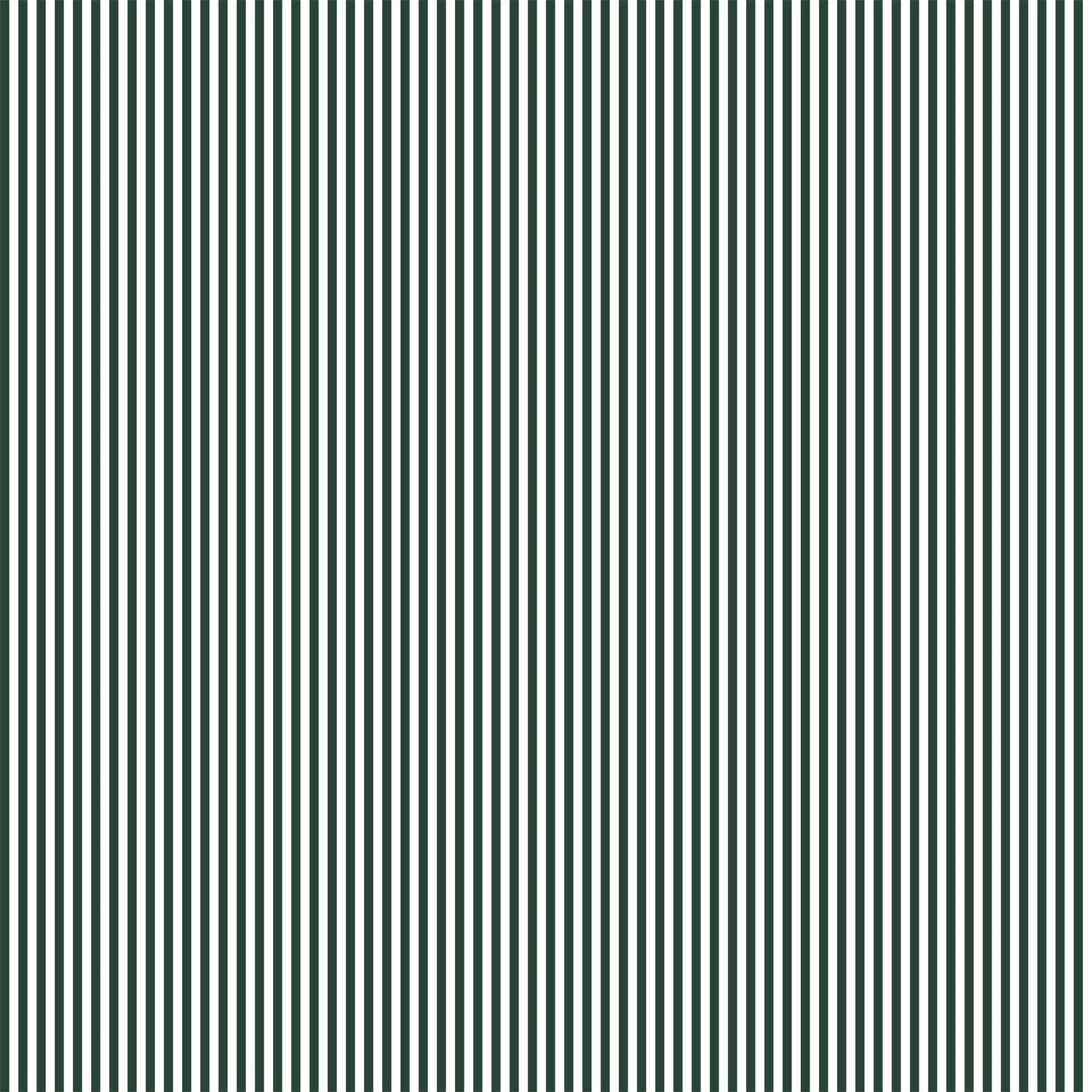 Pencil Stripe