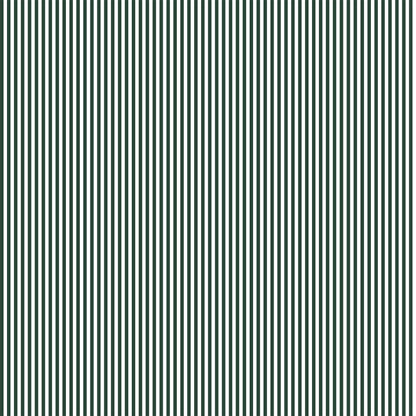 Pencil Stripe