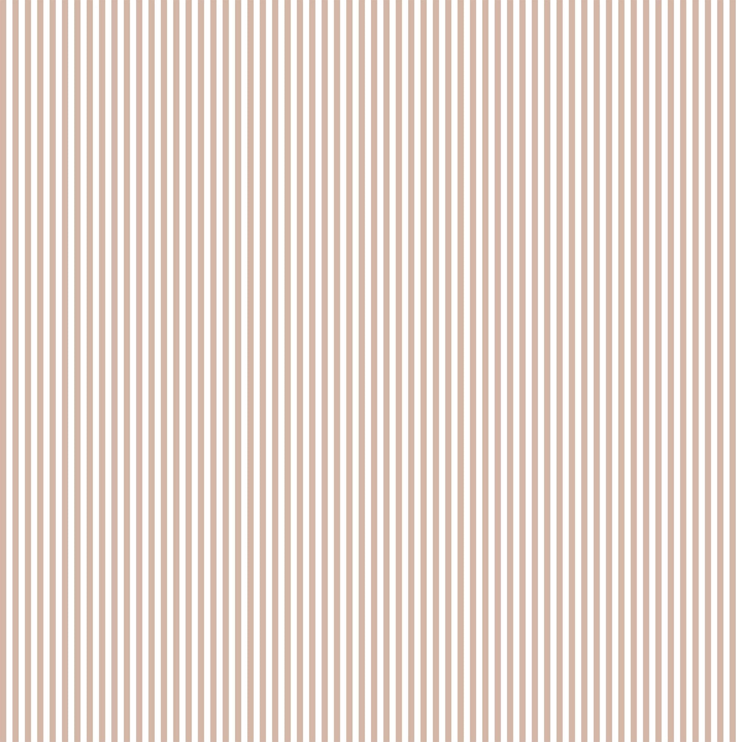 Pencil Stripe