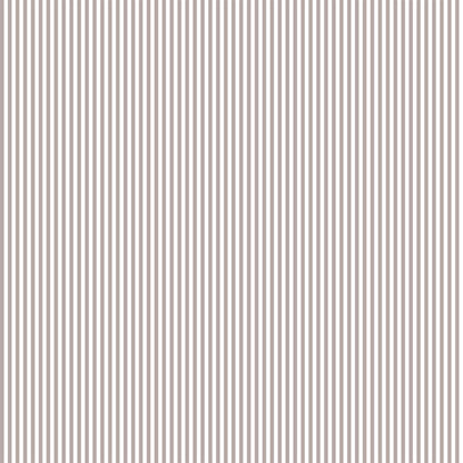 Pencil Stripe