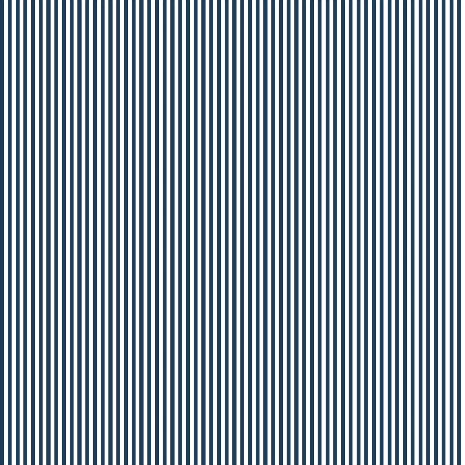 Pencil Stripe